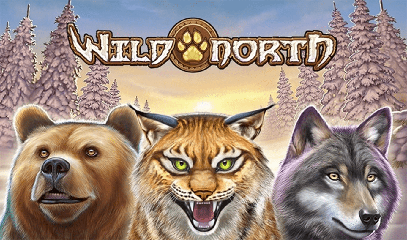 Wild North Slot – Demo & Review slot cover image