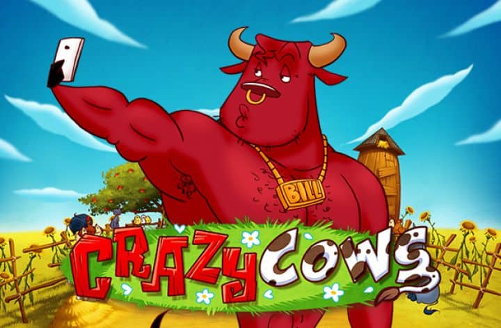 Crazy Cows Slot – Demo & Review slot cover image