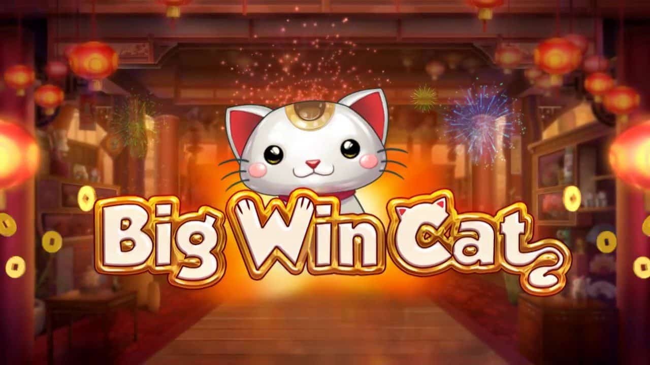 Big Win Cat Slot – Demo & Review slot cover image
