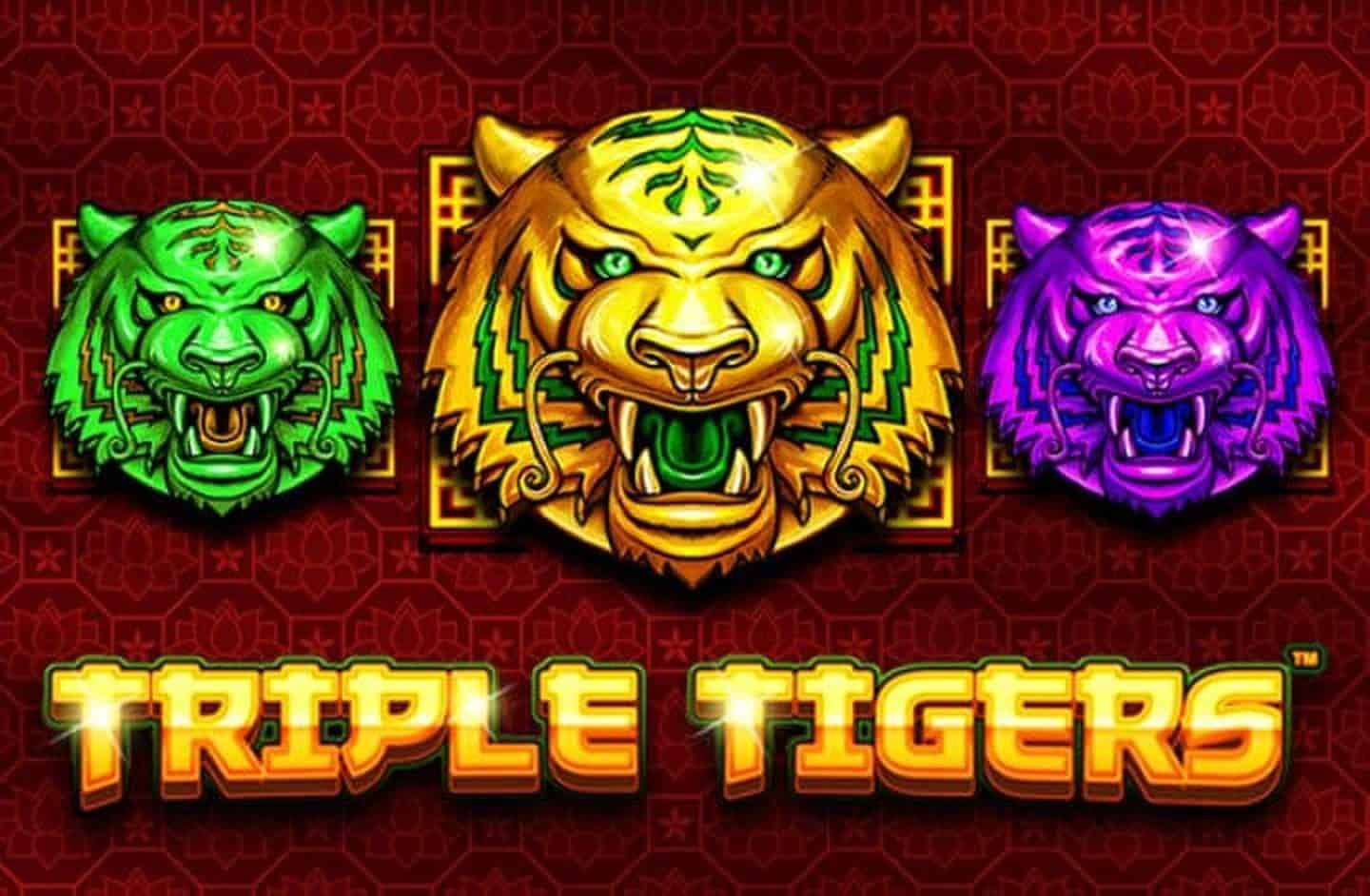 Triple Tigers Slot – Demo & Review slot cover image