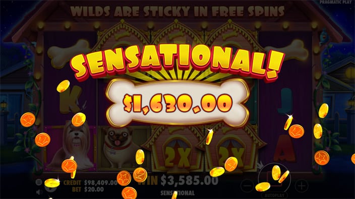 “Sensational!” win message over bone-shaped banner with coins flying across the screen.