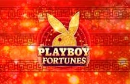 Playboy Fortune Hyperspins Slot – Demo & Review slot cover image