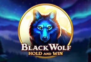 Black Wolf Hold and Win Slot – Demo & Review slot cover image