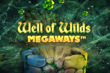 Well of Wilds Megaways Slot – Demo & Review slot cover image