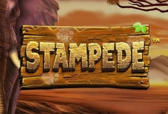 Stampede Slot – Demo & Review slot cover image