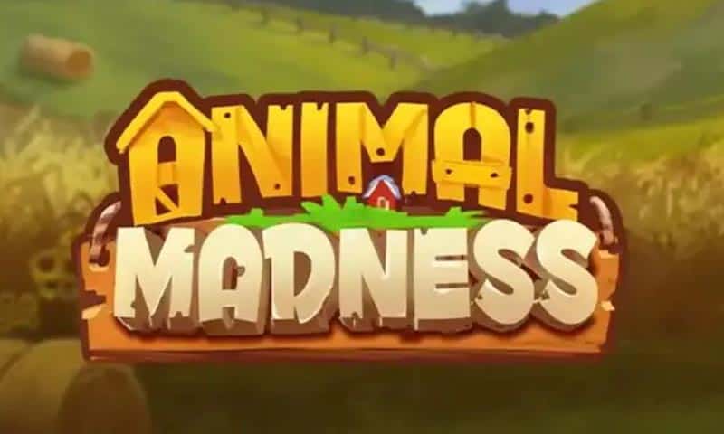 Animal Madness Slot – Demo & Review slot cover image