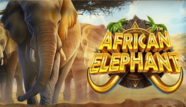African Elephant Slot – Demo & Review slot cover image