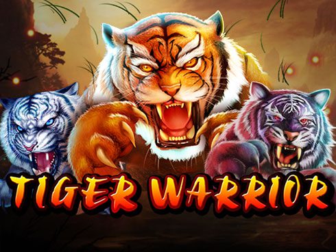Tiger Warrior Slot – Demo & Review slot cover image
