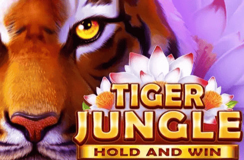 Tiger Jungle Hold and Win Slot – Demo & Review slot cover image