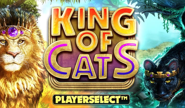 King of Cats Megaways Slot – Demo & Review slot cover image