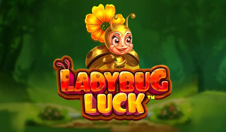 Ladybug Luck Slot – Demo & Review slot cover image