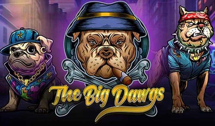 The Big Dawgs Slot – Demo & Review slot cover image