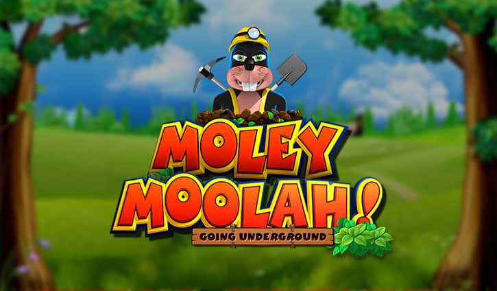 Moley Moolah! Slot – Demo & Review slot cover image