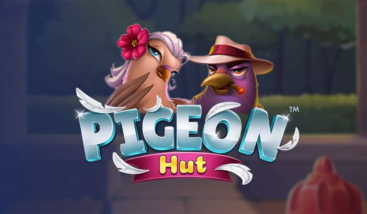Pigeon Hut Slot – Demo & Review slot cover image