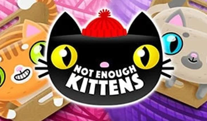 Not Enough Kittens Slot – Demo & Review slot cover image