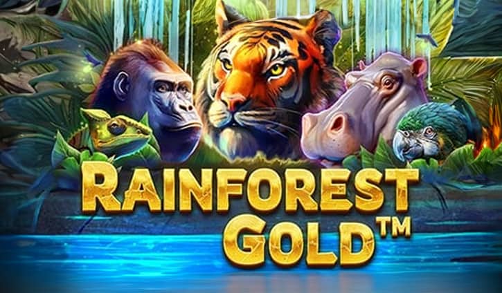Rainforest Gold Slot – Demo & Review slot cover image
