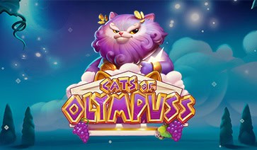 Cats of Olympuss Slot – Demo & Review slot cover image