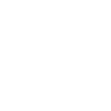 Favicon Wolfy Casino