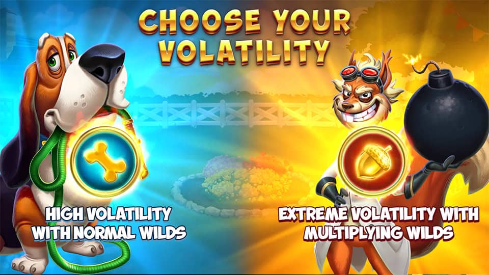 Volatility selection screen in Licence to Squirrel offering high and extreme modes with different wilds.