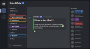Discord server mockup displaying organized channels, verification badge, and 100K+ member count.
